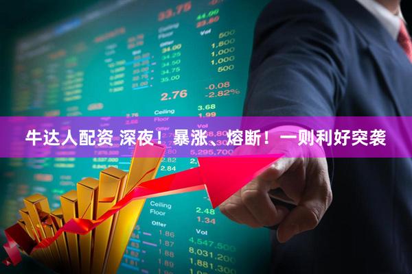 牛达人配资 深夜！暴涨、熔断！一则利好突袭